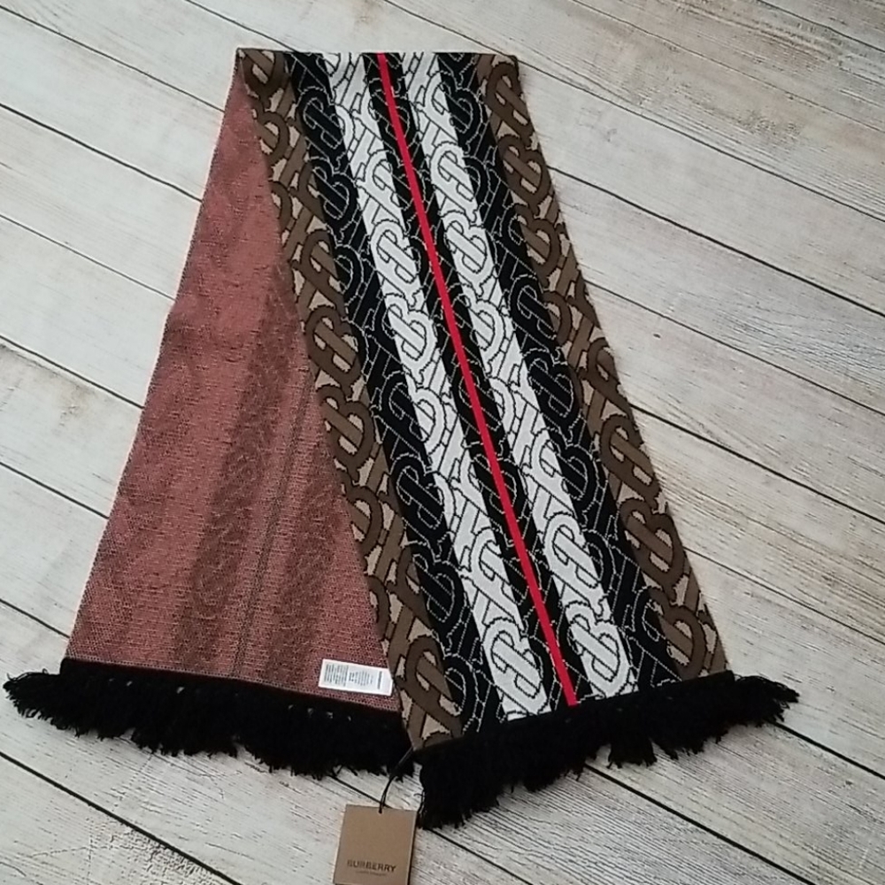 New Burberry Unisex Monogram Stripe Cashmere Scarf - Picture 6 of 14